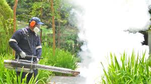 Best Pest Exclusion Services  in Eagle Lake, WI